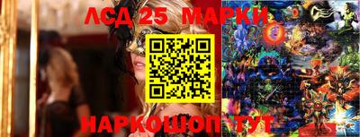 гидропоника Бердск